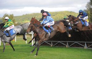 WF Racing Articles Roll On Roll Off Fences