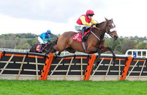 WF Racing Articles One Fit Hurdles In Ireland