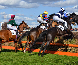 WF Racing Point to Point Fences
